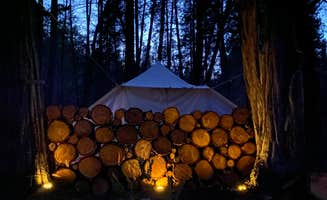 Radio R.'s photo at Radio Ranch near Six Rivers National Forest