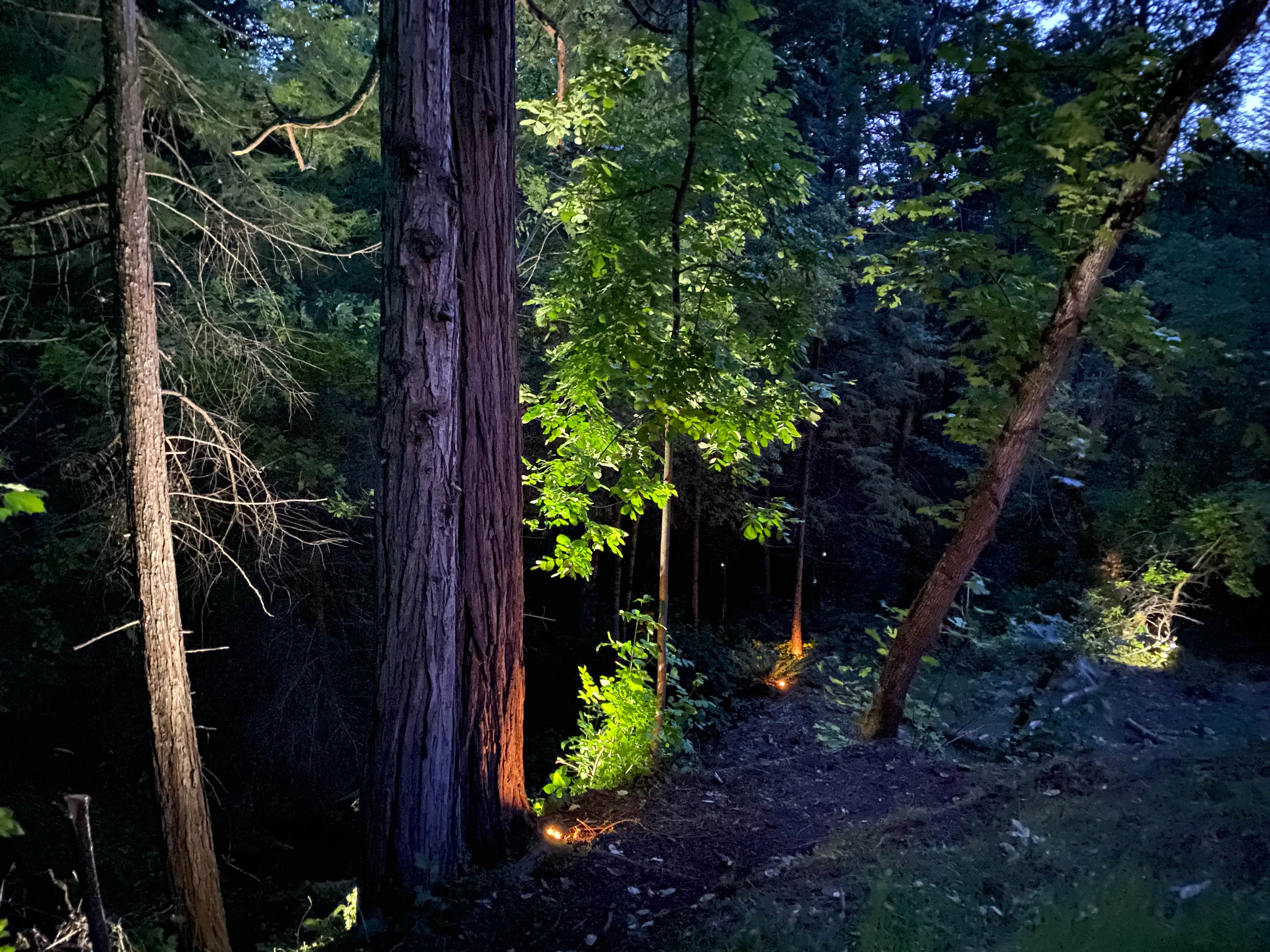 Camper-submitted photo at Radio Ranch near Burnt Ranch, CA