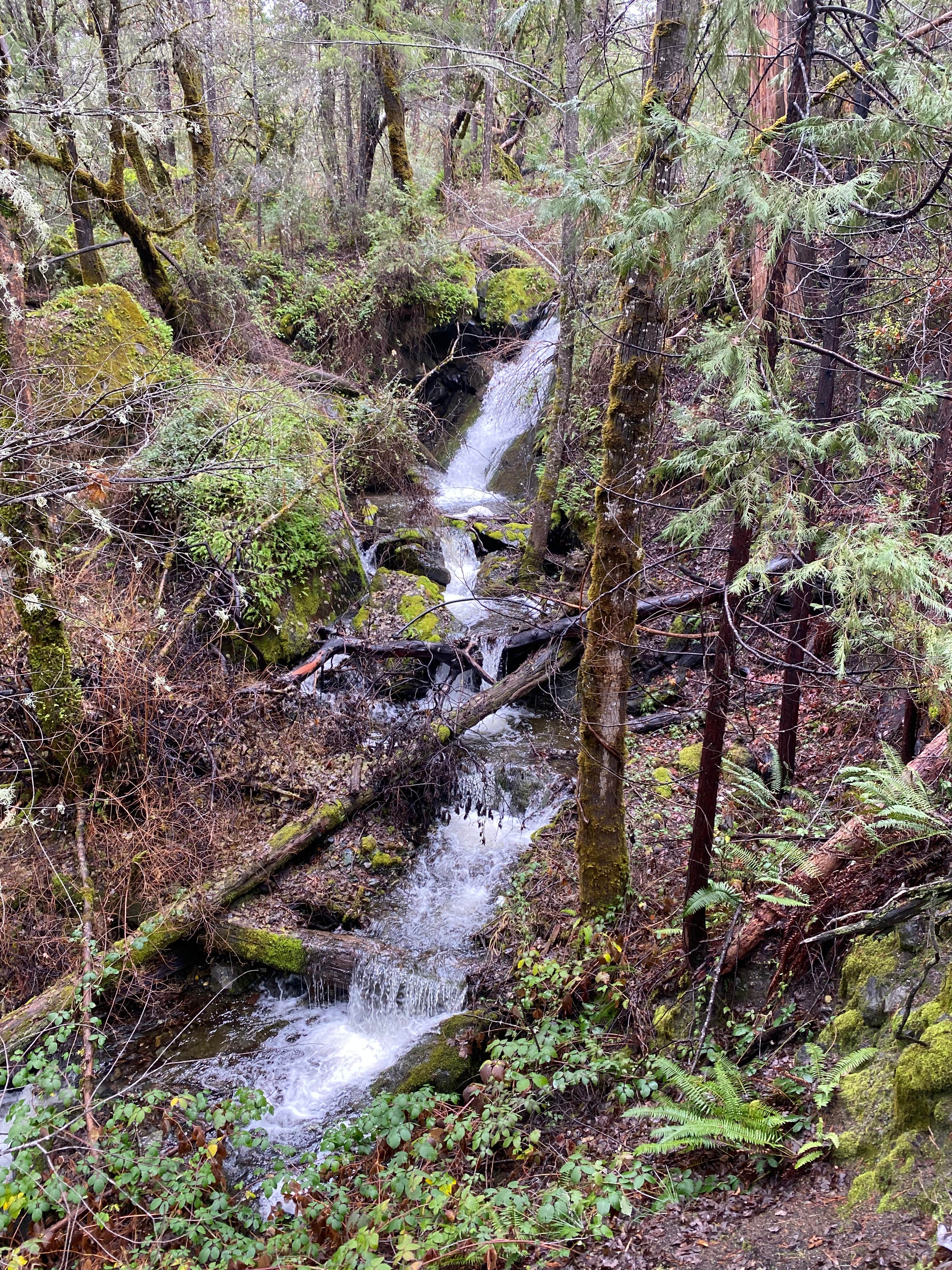 Camper-submitted photo at Radio Ranch near Burnt Ranch, CA
