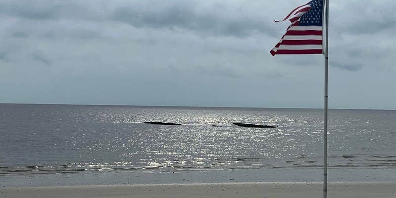 Camper submitted image from Sea Pines Beach