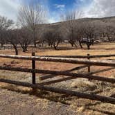 Review photo of Fruita Campground — Capitol Reef National Park by Sierra B., March 12, 2023