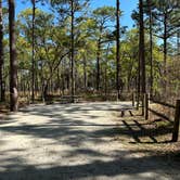 Review photo of Wekiwa Springs State Park Campground by Christian D., March 13, 2023