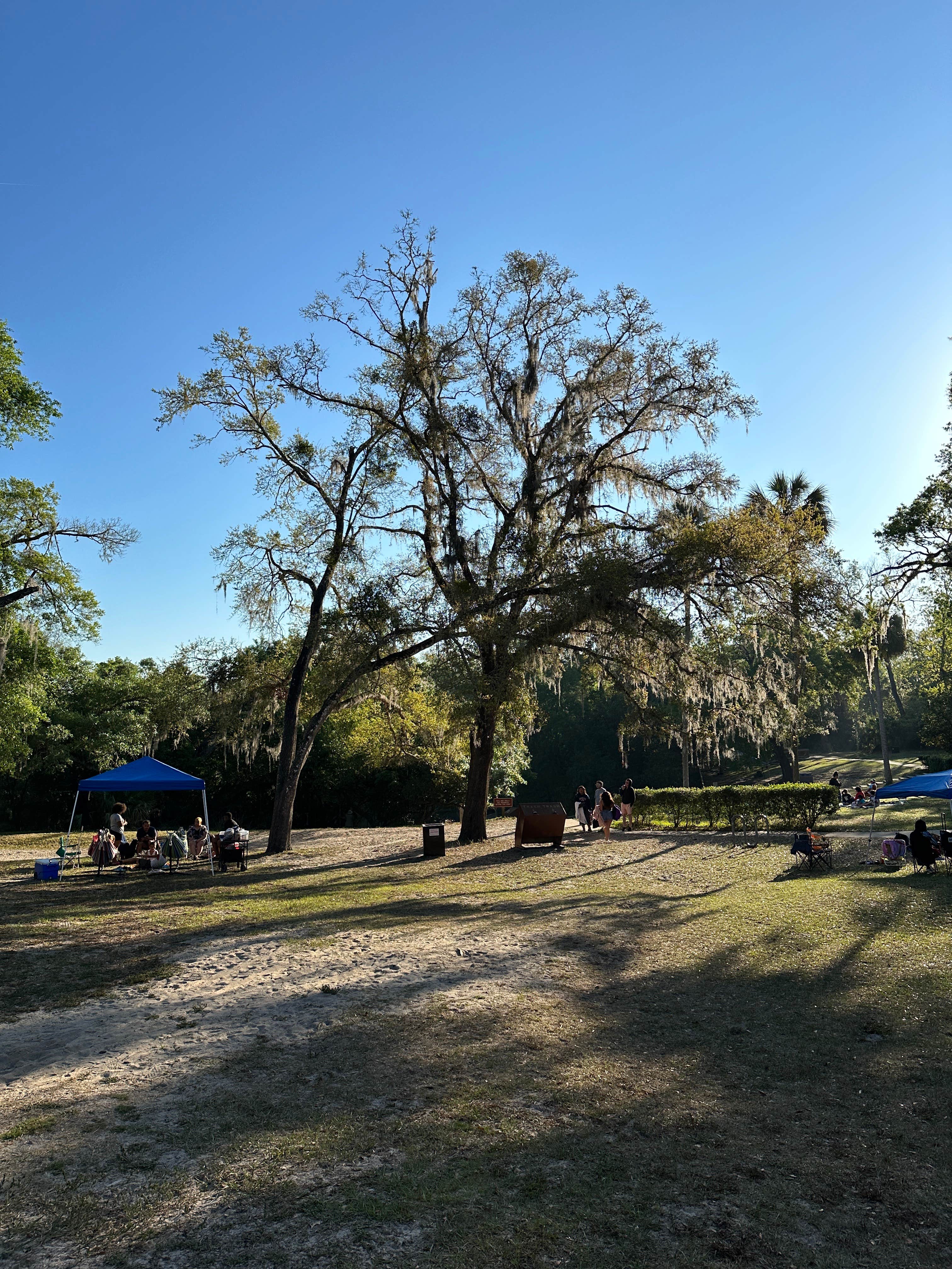 Christian D.'s photo at Wekiwa Springs State Park Campground near Oakland, FL