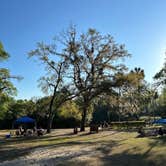 Review photo of Wekiwa Springs State Park Campground by Christian D., March 13, 2023