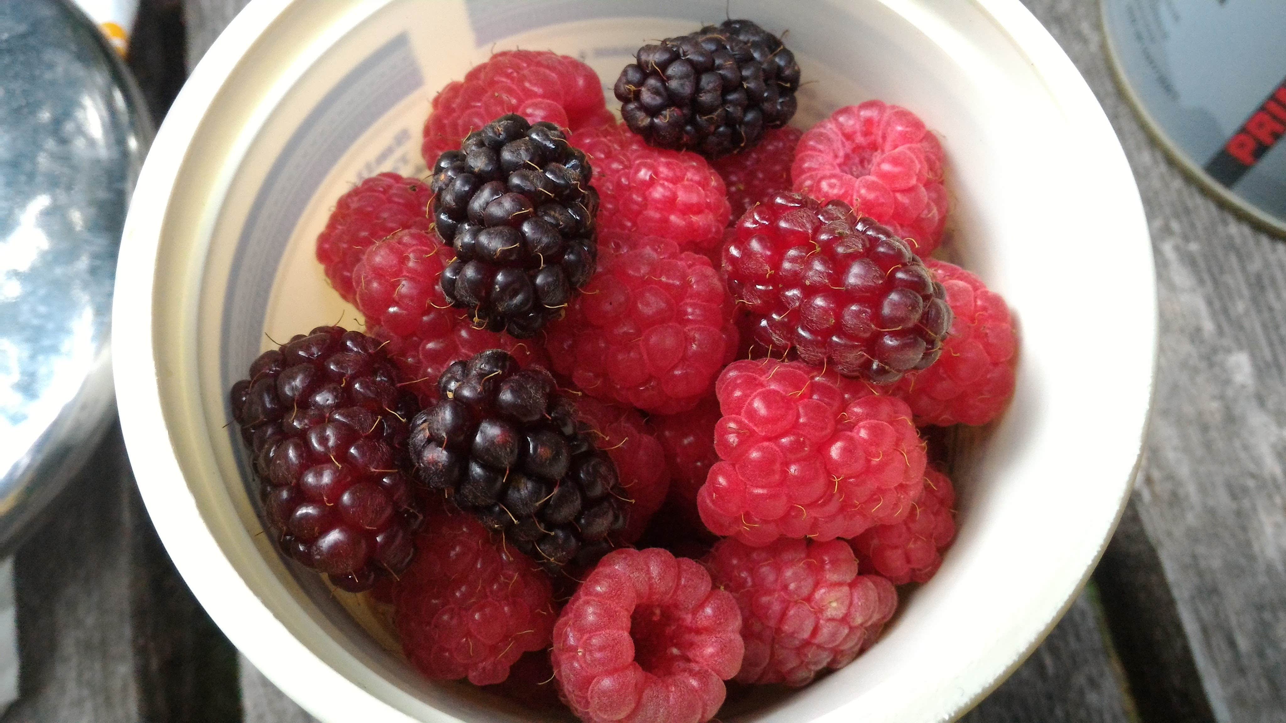 Camper-submitted photo at Artic Park near Aberdeen, WA