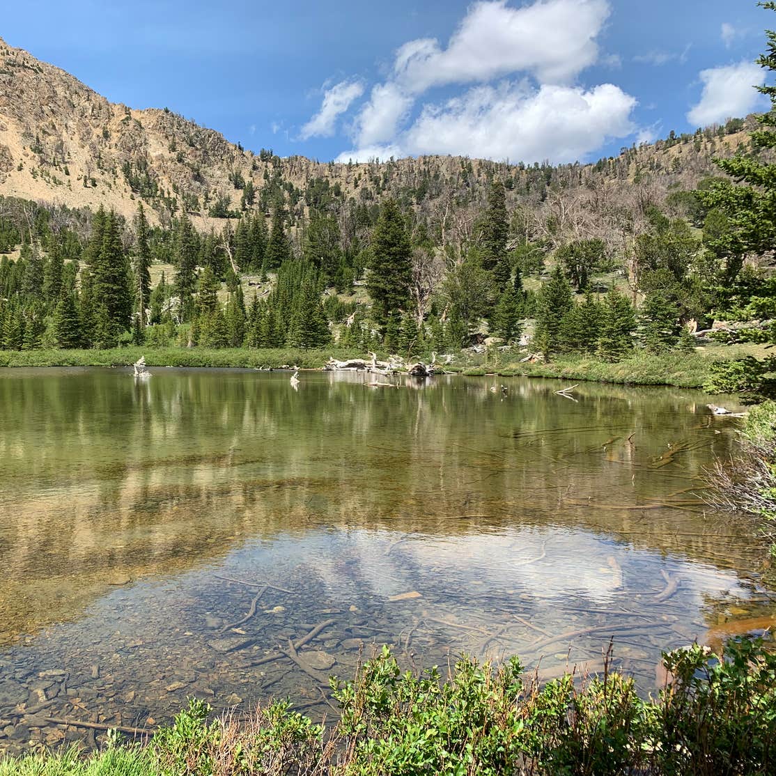 Wagon Wheel Motel & RV Park Mackay, ID