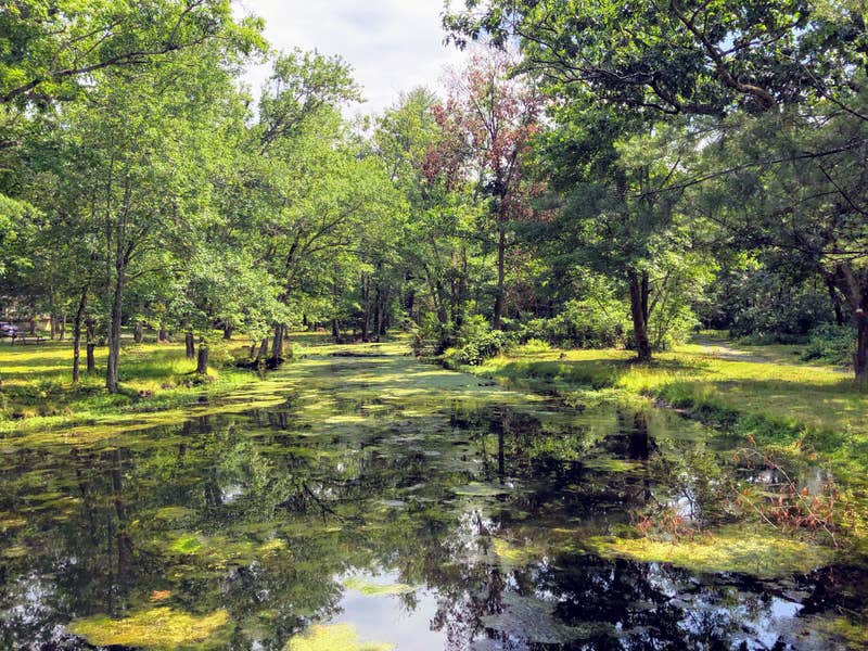 Camper-submitted photo at Neversink River Resort near Cuddebackville, NY
