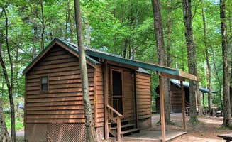 Meghan D.'s photo of a cabin at Neversink River Resort near Billings, NY
