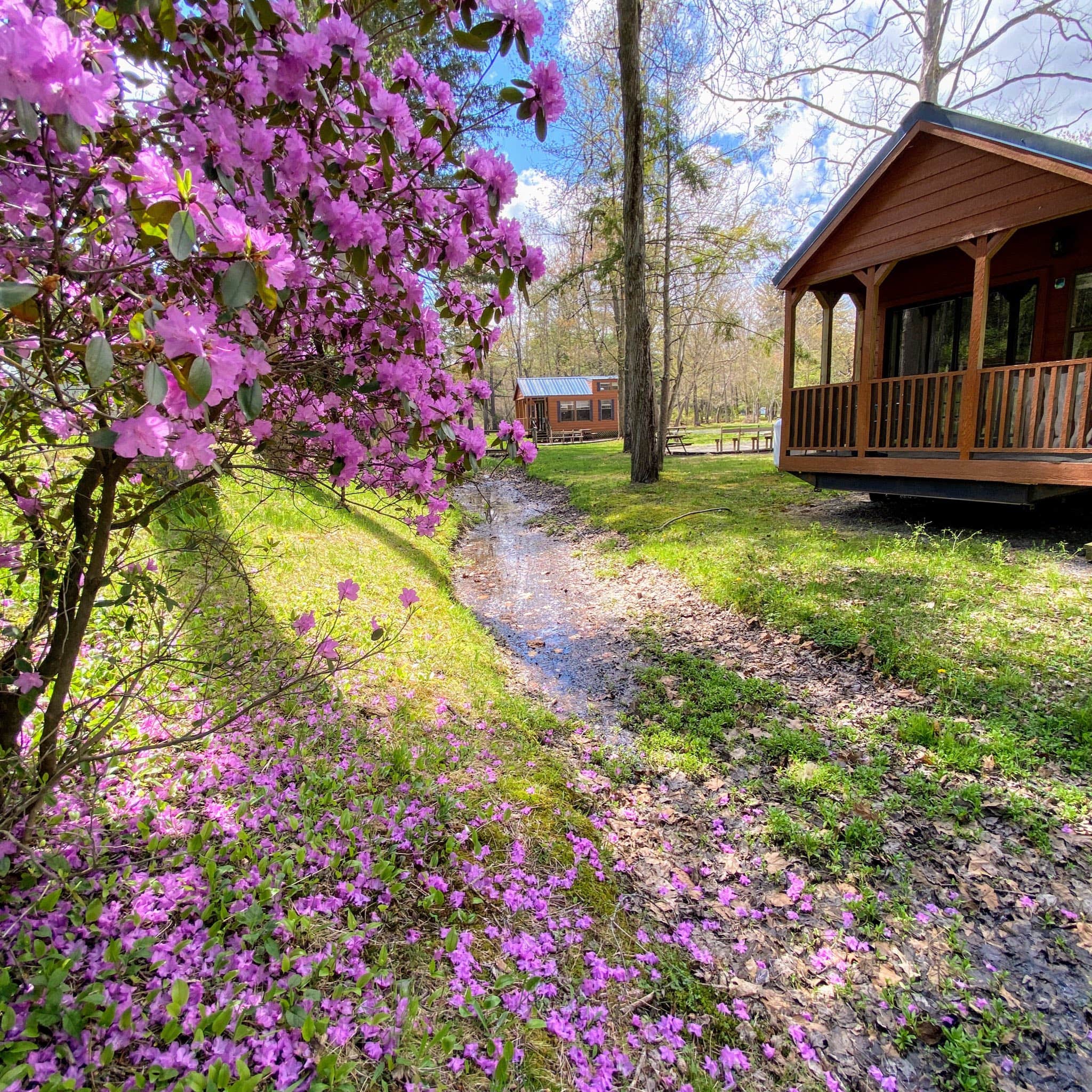 Camper-submitted photo at Neversink River Resort near Cuddebackville, NY
