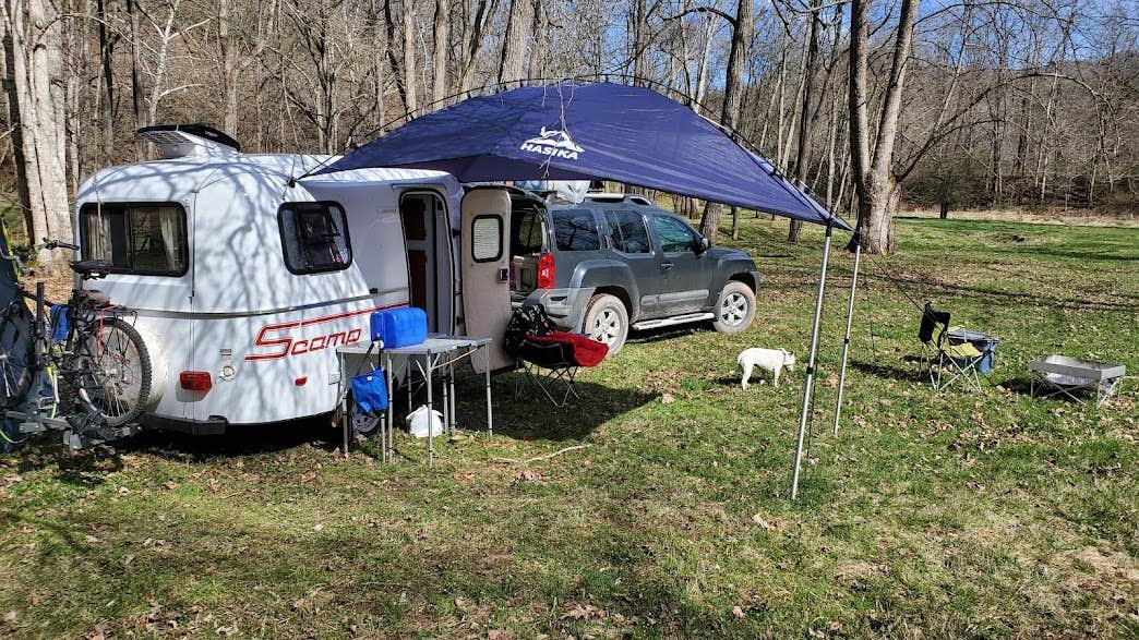 Nelson H.'s photo of camping with pets at River Trail Hollow Campground near Lewisburg, WV