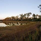 Review photo of Long Pine Key Campground — Everglades National Park by J R., March 13, 2023