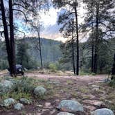 Review photo of Crown King Area (Horsethief Basin lake) by Stephanie & Ryan J., March 13, 2023