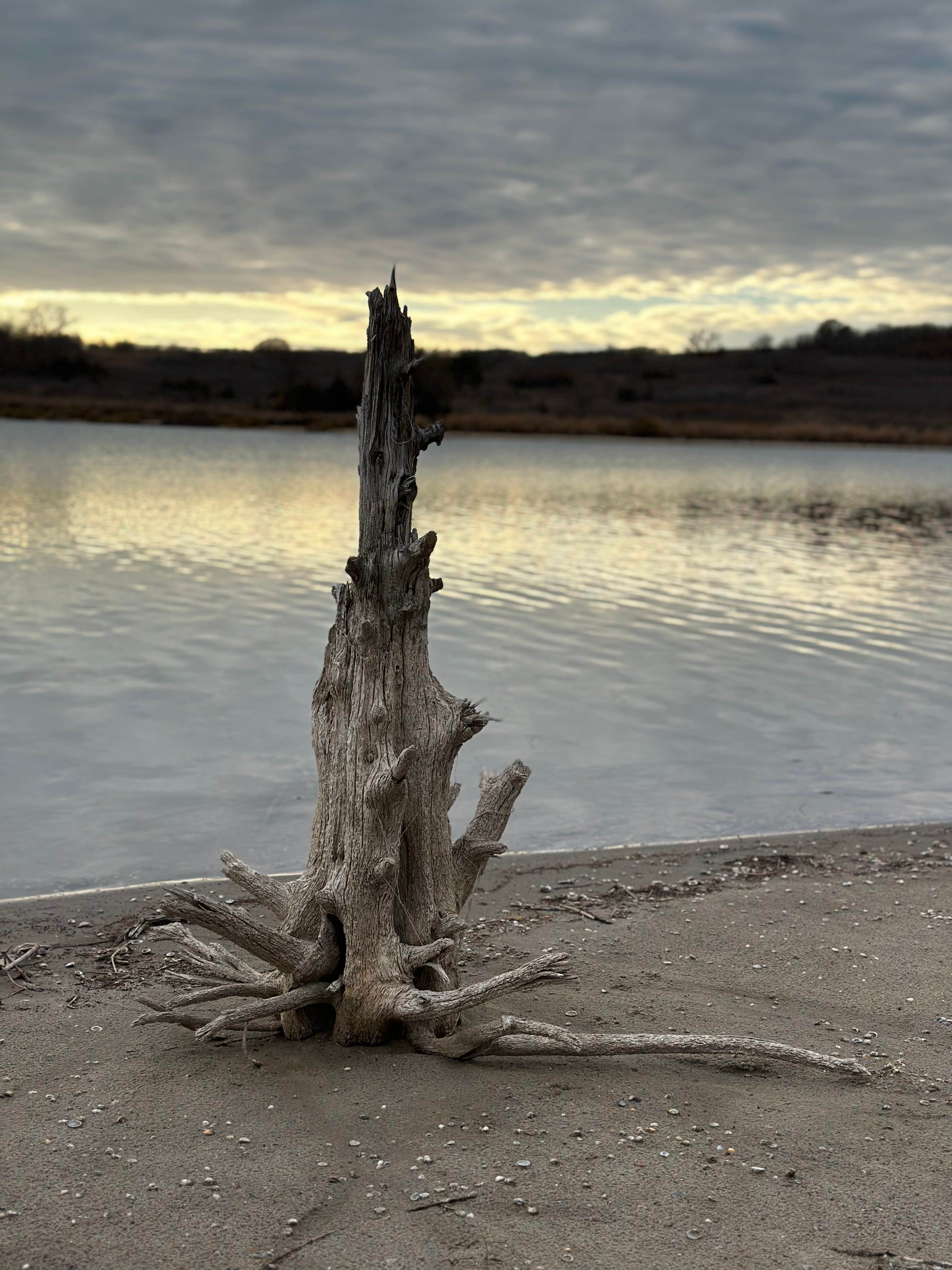 Camper-submitted photo at Spring Creek Dispersed Sites near Canadian, TX
