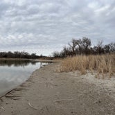 Review photo of Spring Creek Dispersed Sites by Samantha F., March 13, 2023
