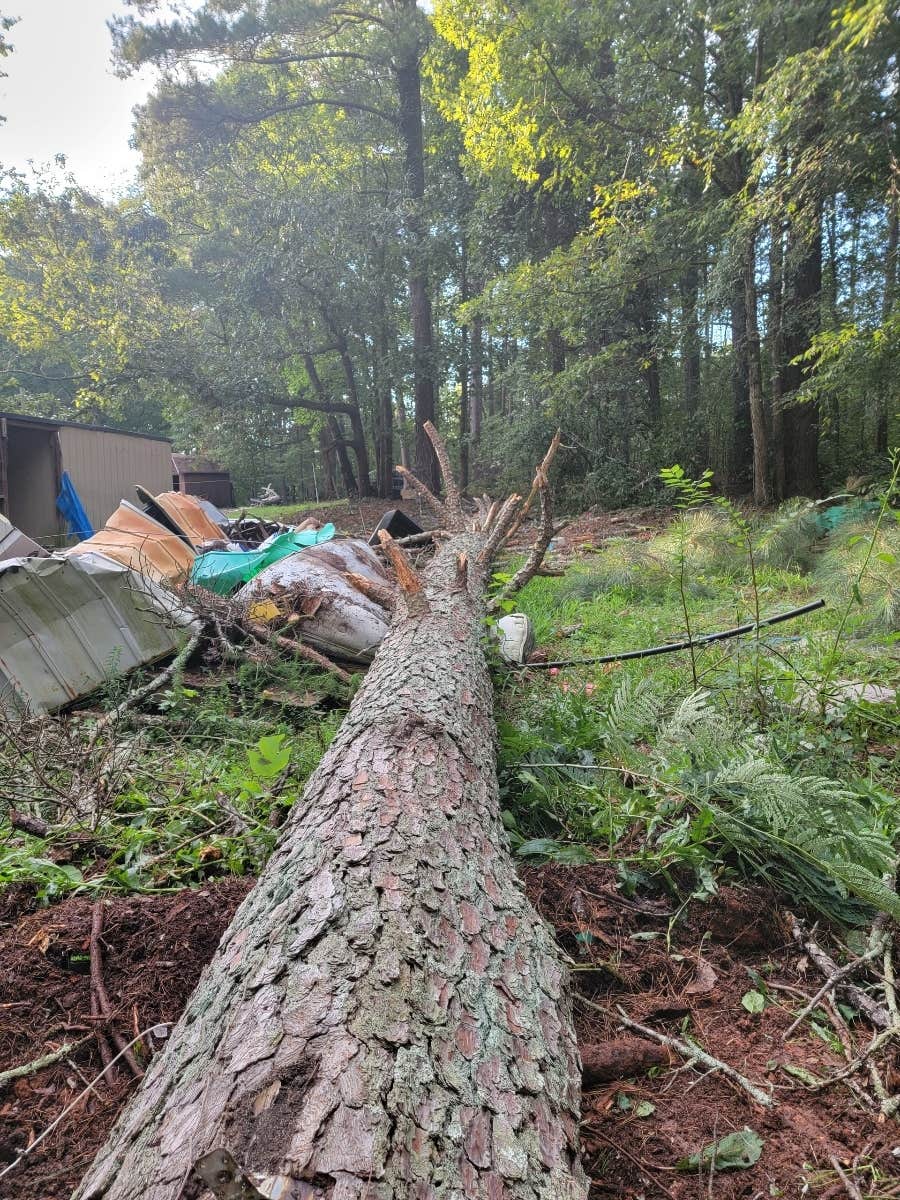 Camper-submitted photo at South Oaks RV & Mobile Home Park near Marietta, GA