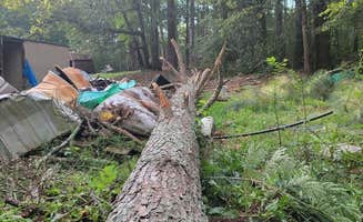 Richard M.'s photo at South Oaks RV & Mobile Home Park near Morrow, GA