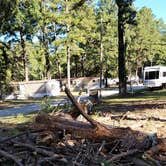 Review photo of South Oaks RV & Mobile Home Park by Richard M., March 14, 2023