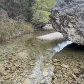Review photo of Lost Maples State Natural Area by valerie , March 14, 2023