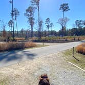 Review photo of Goose Creek State Park Campground by Tucker M., March 14, 2023