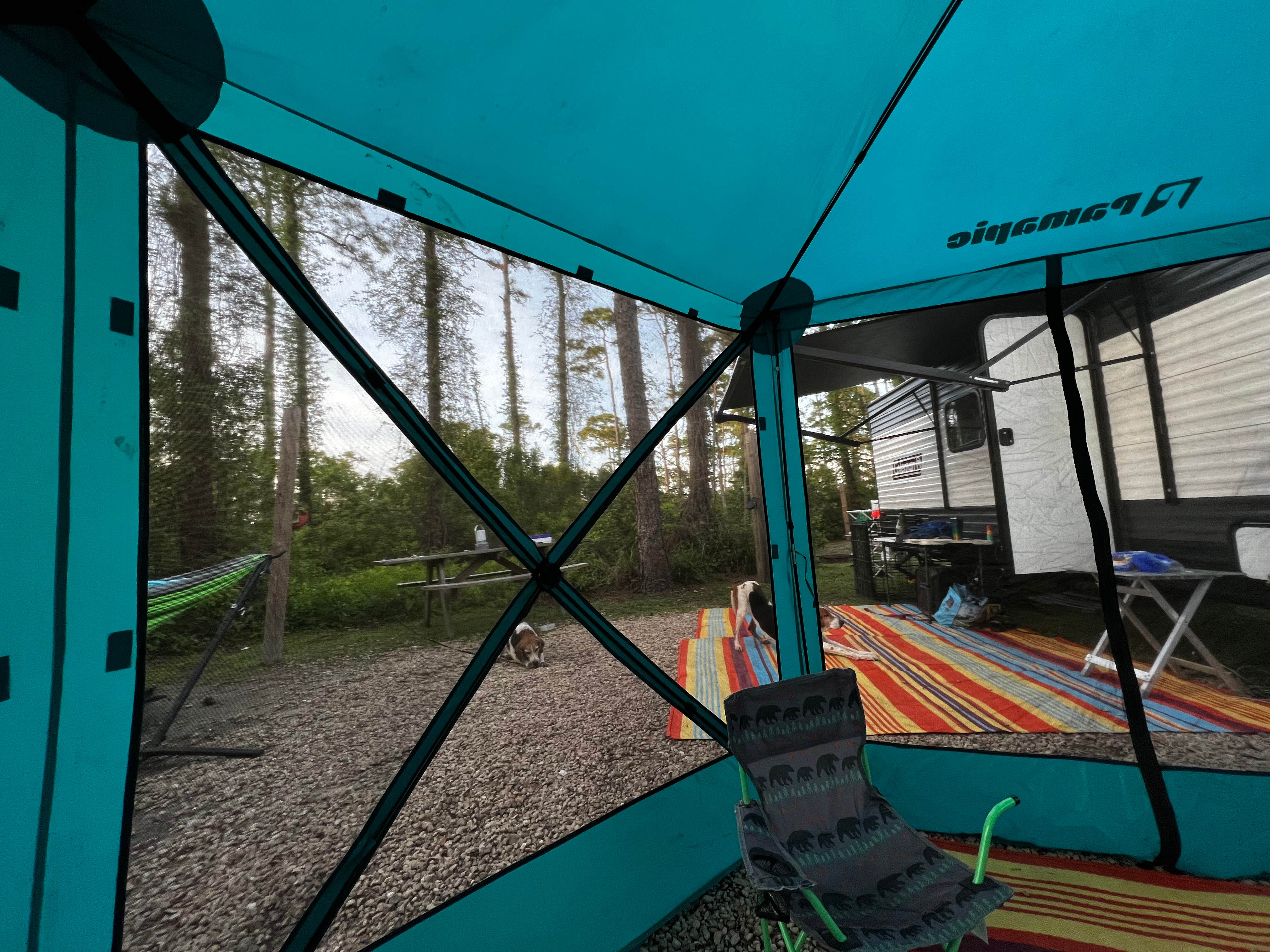 Kat G.'s photo at Dr. Julian G. Bruce St. George Island State Park Campground near Sumatra, FL