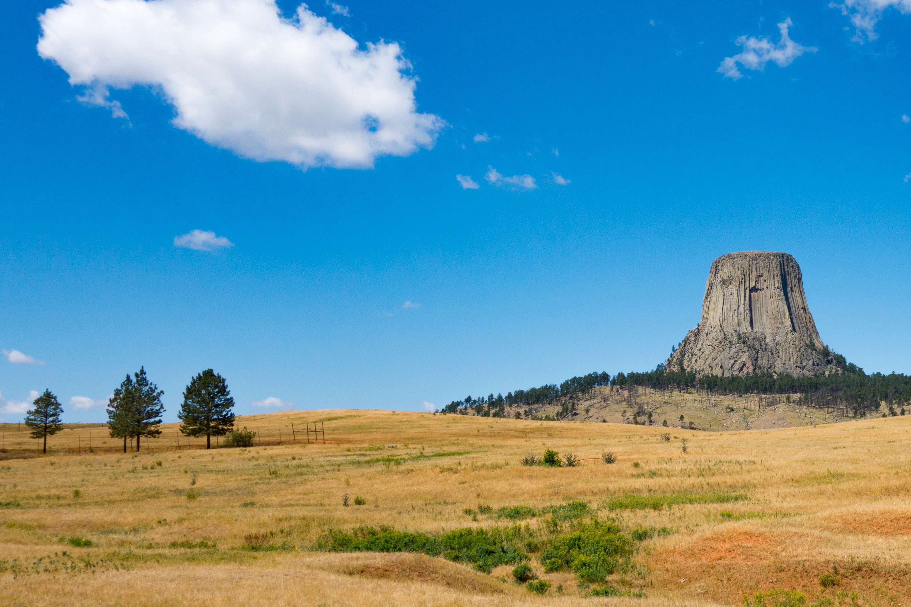 Camper submitted image from Devils Tower KOA - 2