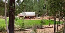 Camper submitted image from Whispering Pines Covered Wagon Resort