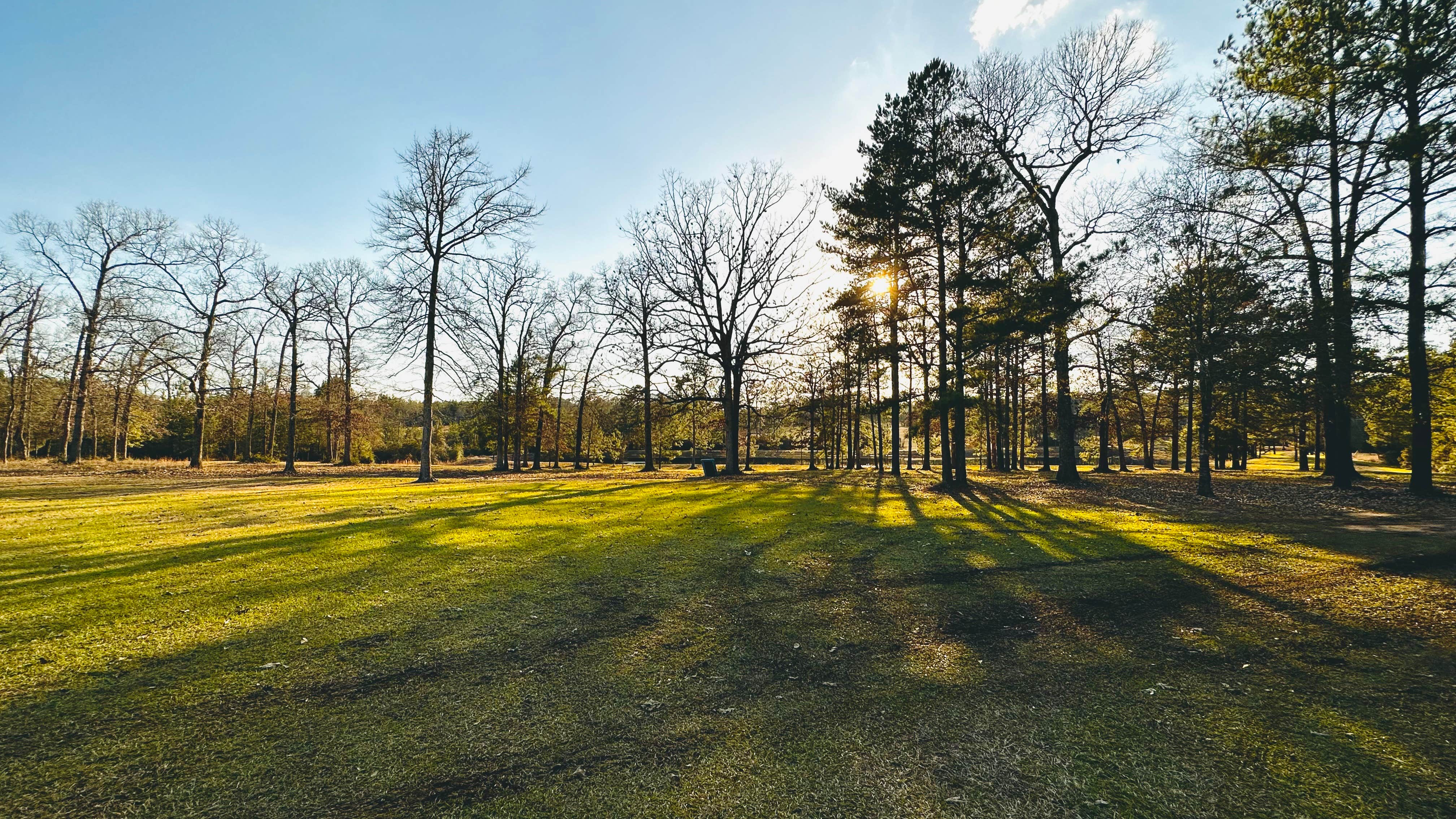 Camper-submitted photo at Selah Acres near Saratoga, TX