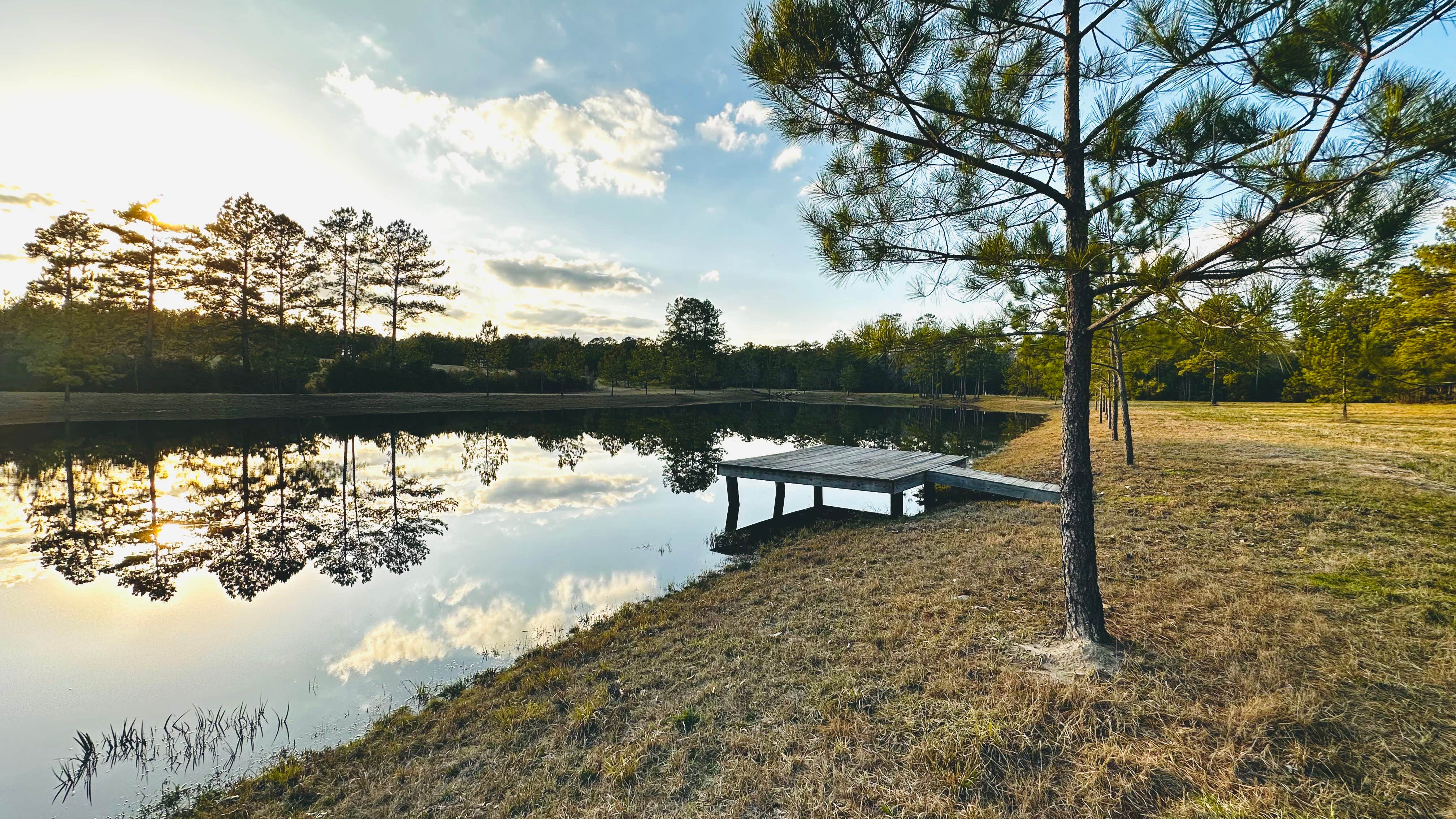 Camper-submitted photo at Selah Acres near Saratoga, TX