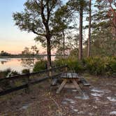 Review photo of Ochlockonee River State Park Campground by Christian D., March 15, 2023