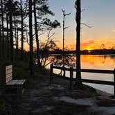 Review photo of Ochlockonee River State Park Campground by Christian D., March 15, 2023