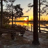 Review photo of Ochlockonee River State Park Campground by Christian D., March 15, 2023