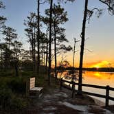 Review photo of Ochlockonee River State Park Campground by Christian D., March 15, 2023