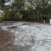 Review photo of Ochlockonee River State Park Campground by Christian D., March 15, 2023