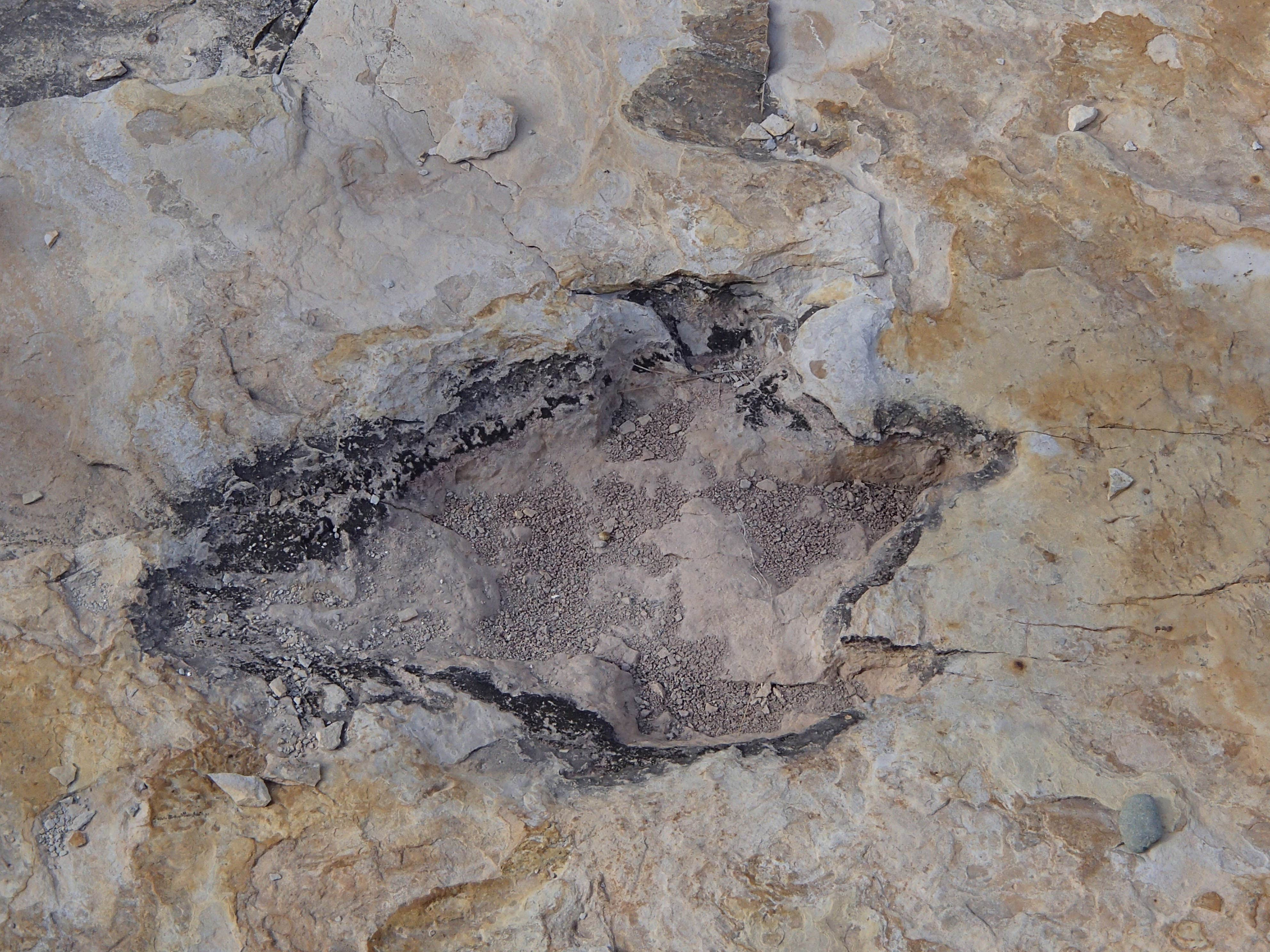 Camping near Wild Bills RV & Trailer Park: Clayton Lake State Park Campground, Clayton, New Mexico