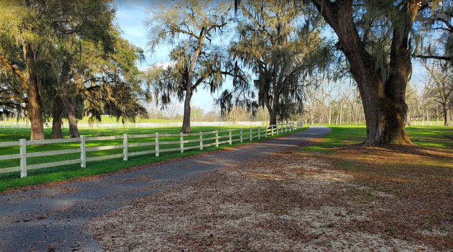 Camper-submitted photo at Hilltop Christian Camp Resort near Monticello, FL