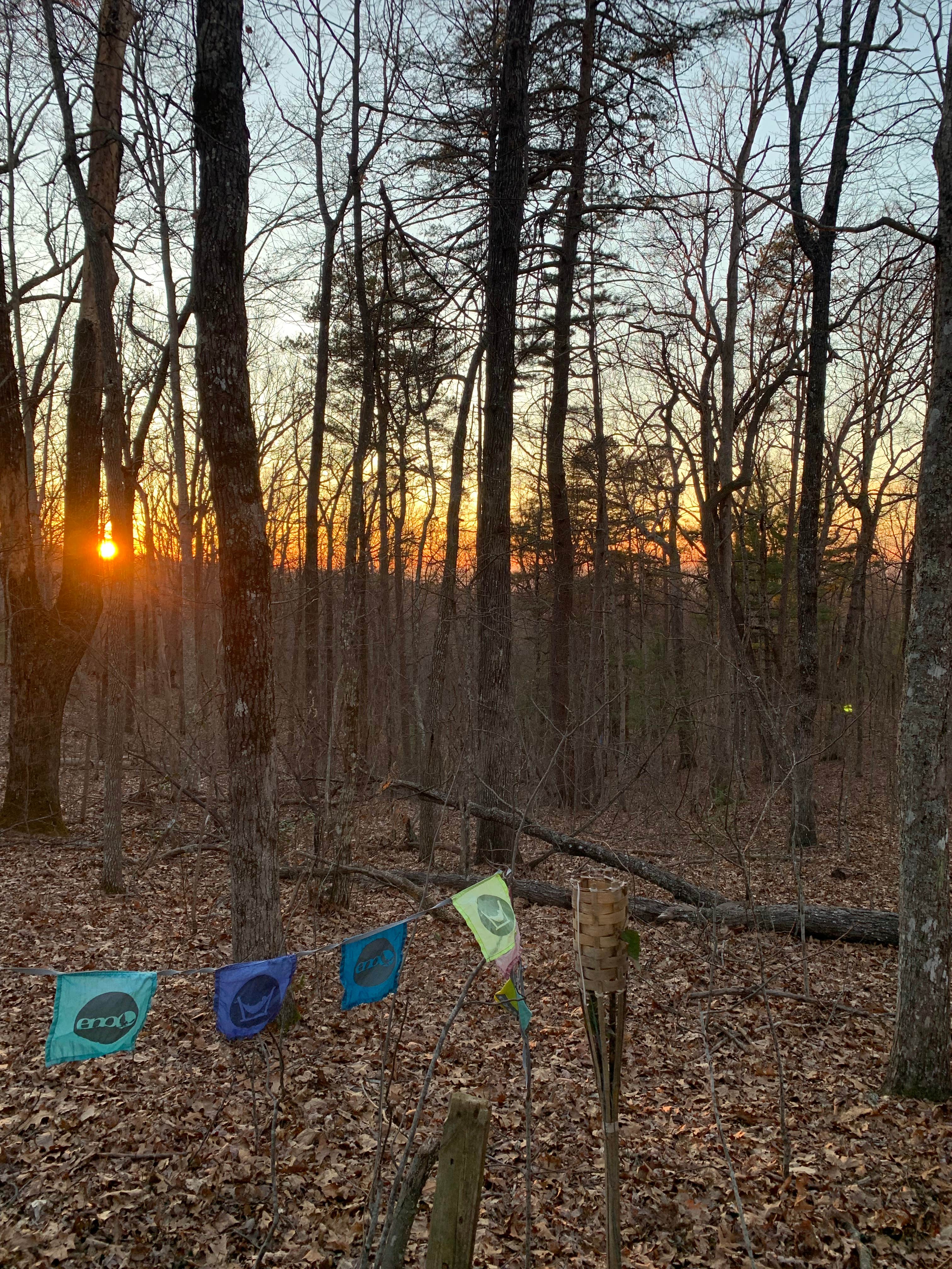 Camping near Abrams Creek Campground — Great Smoky Mountains National Park: Top of the World, Maryville, Tennessee
