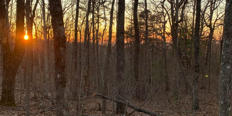 Camper submitted image from Top of the World