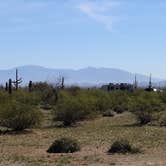 Review photo of BLM Ironwood Forest National Monument - Pipeline Rd Dispersed camping by Grant H., March 16, 2023