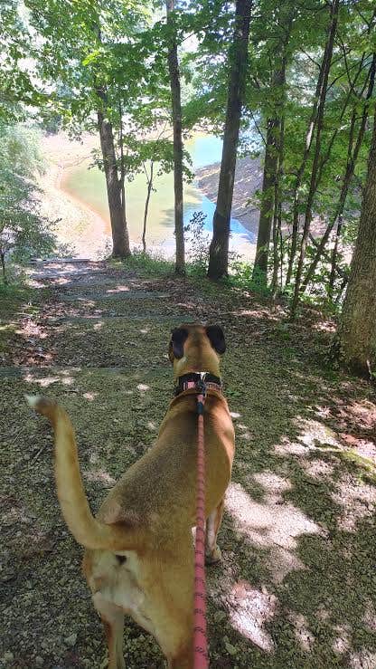 b K.'s photo of camping with pets at Ray Behrens near Hannibal, MO