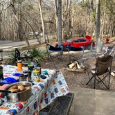 Review photo of Rock Island State Park Campground by Christa P., March 16, 2023