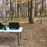 Review photo of Rock Island State Park Campground by Christa P., March 16, 2023