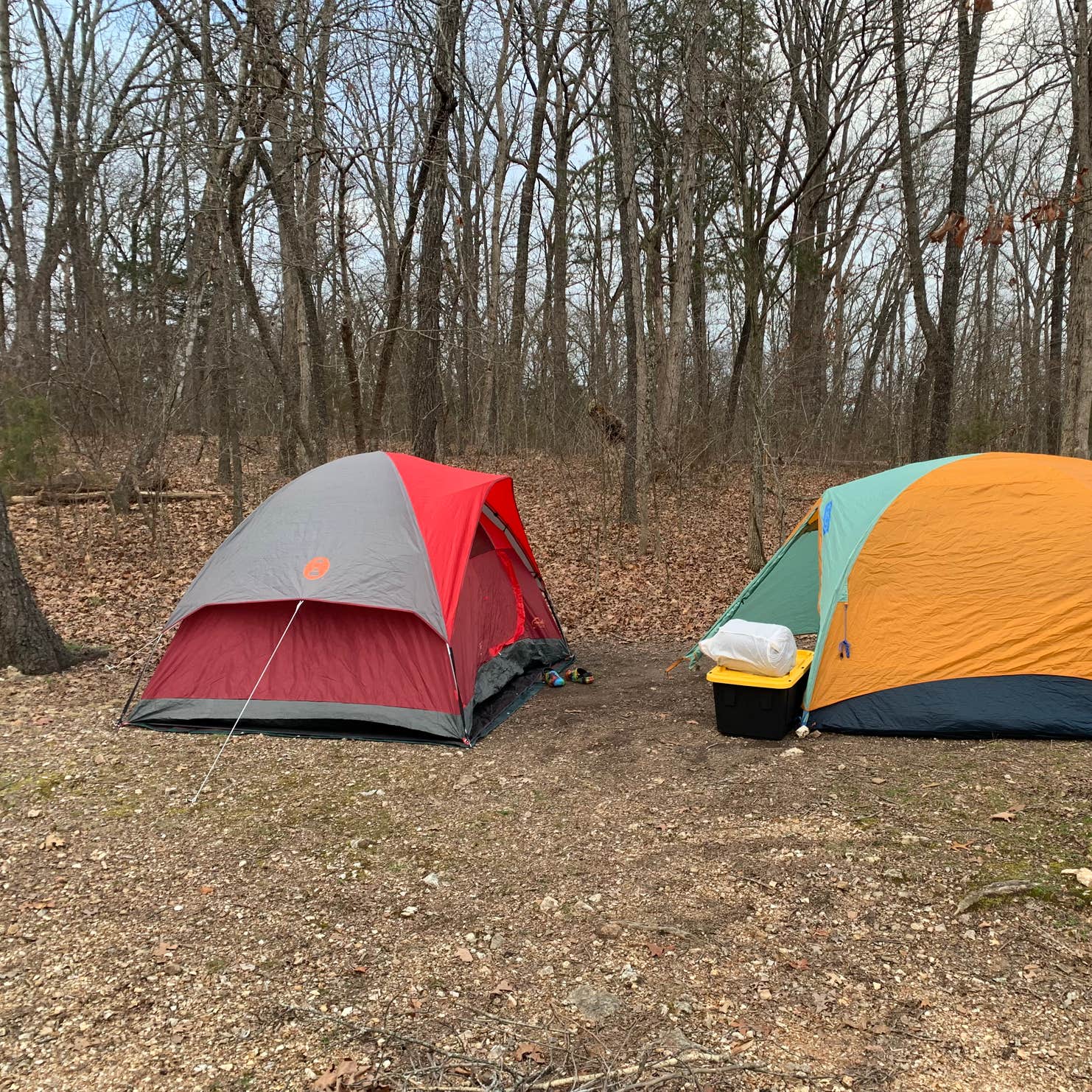 Table Rock State Park Campground | Hollister, Missouri