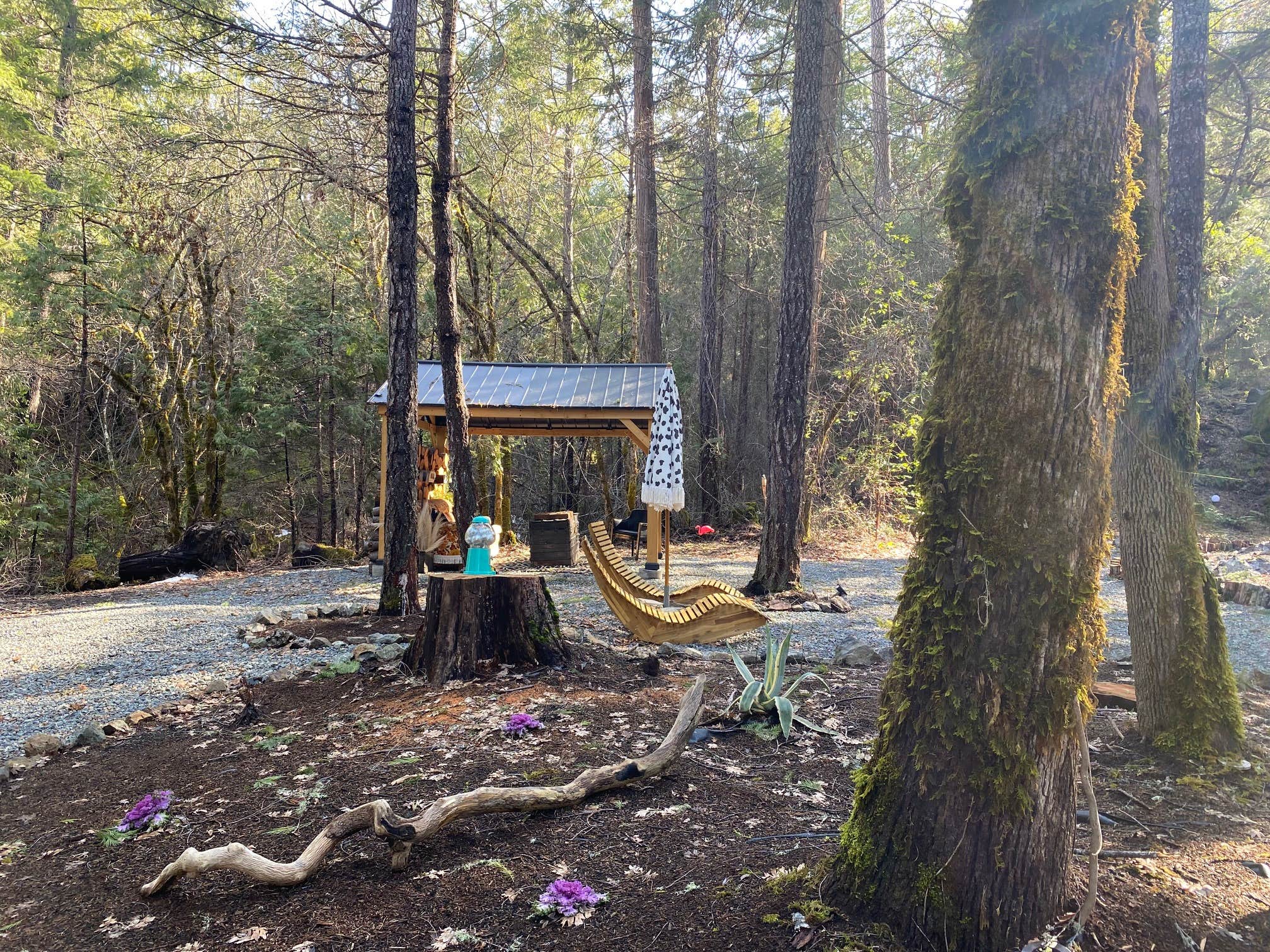Radio R.'s photo of glamping accommodations at Radio Ranch near Weott, CA