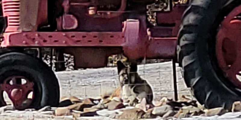 Camper submitted image from Pony Express RV