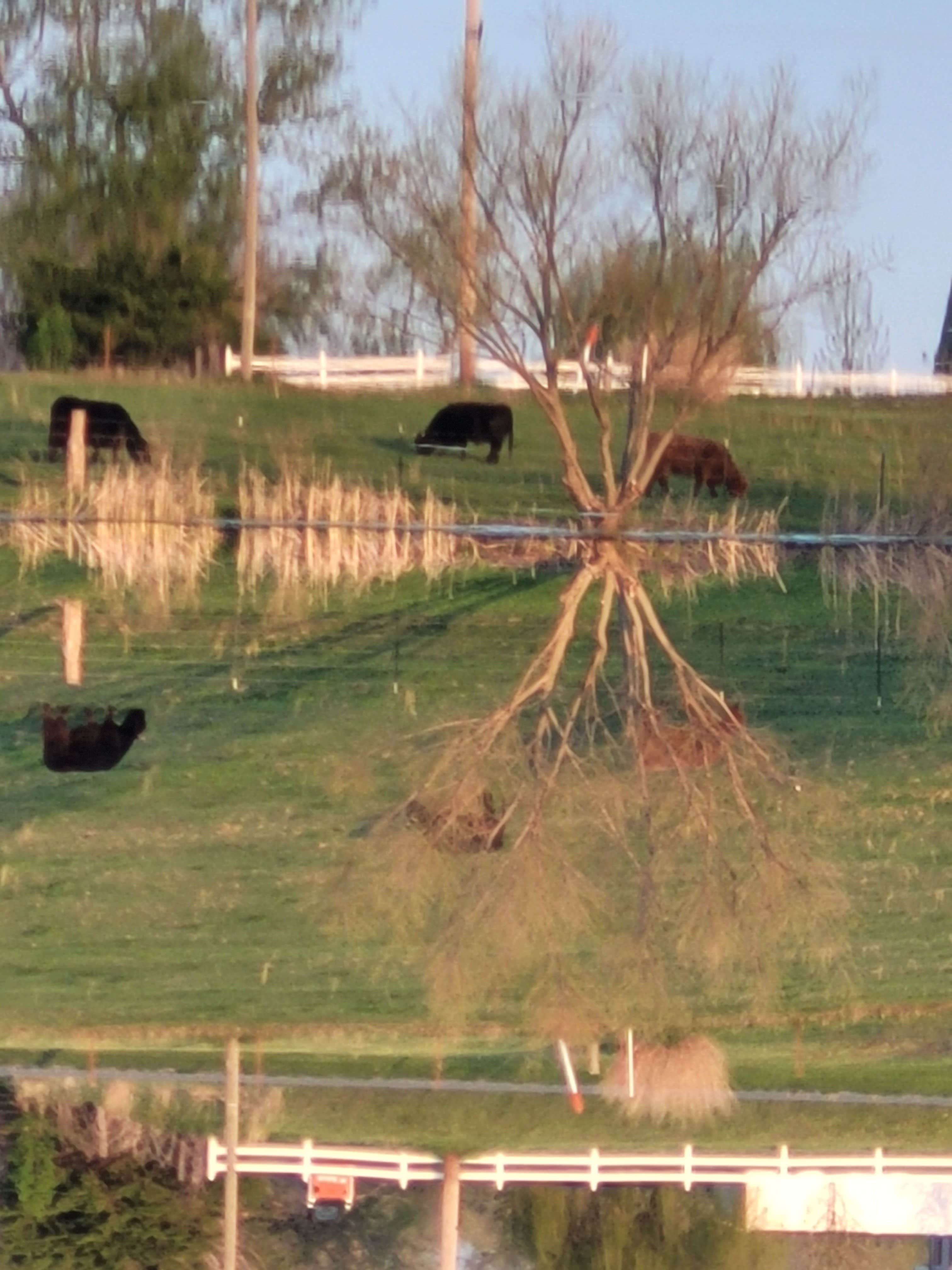 Camper-submitted photo at Pony Express RV near Amazonia, MO