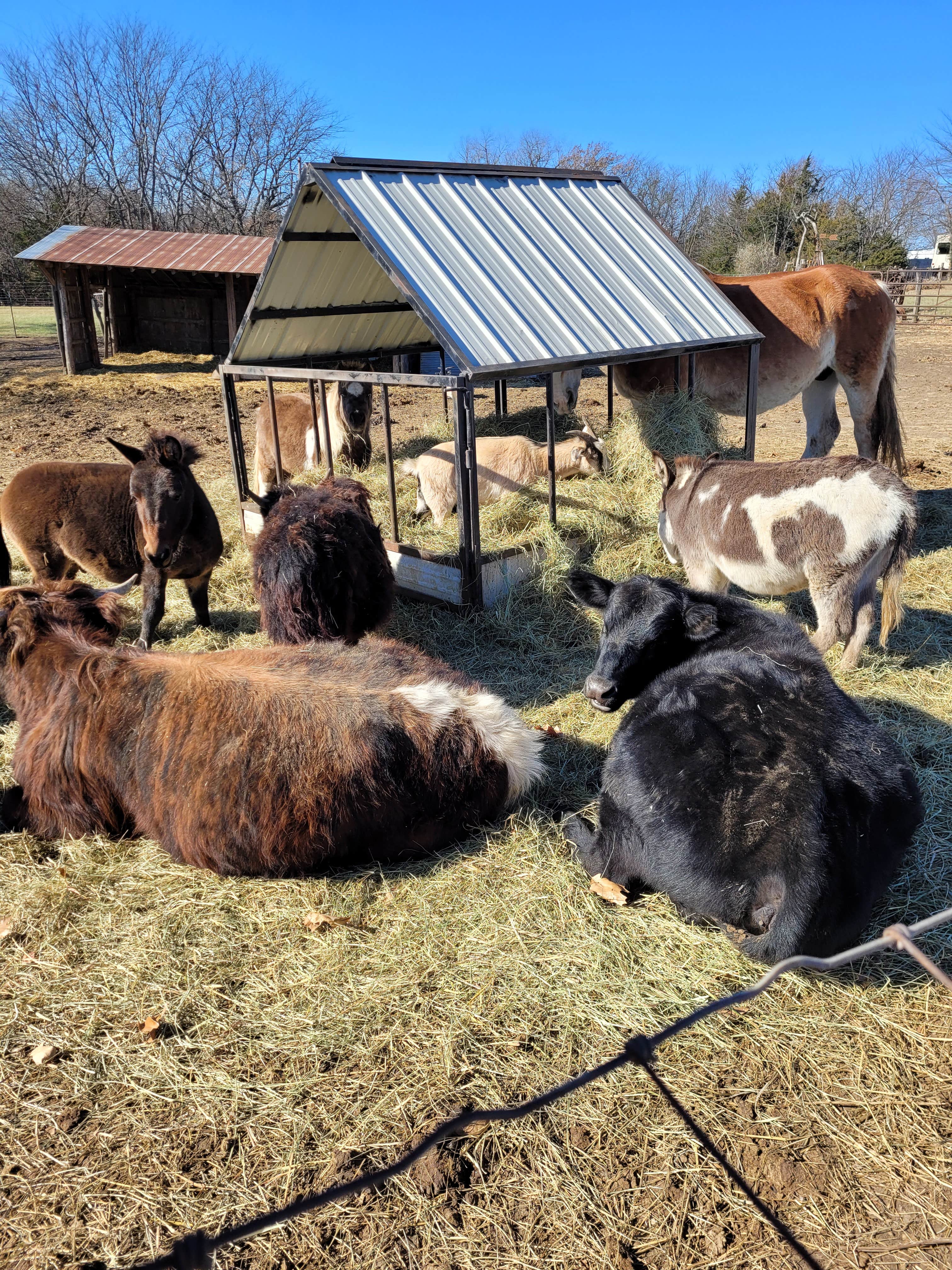 Camper-submitted photo at Pony Express RV near Amazonia, MO
