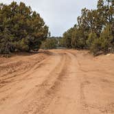 Review photo of Blake Gubler Road BLM by Greg L., March 16, 2023