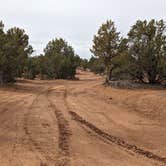 Review photo of Blake Gubler Road BLM by Greg L., March 16, 2023