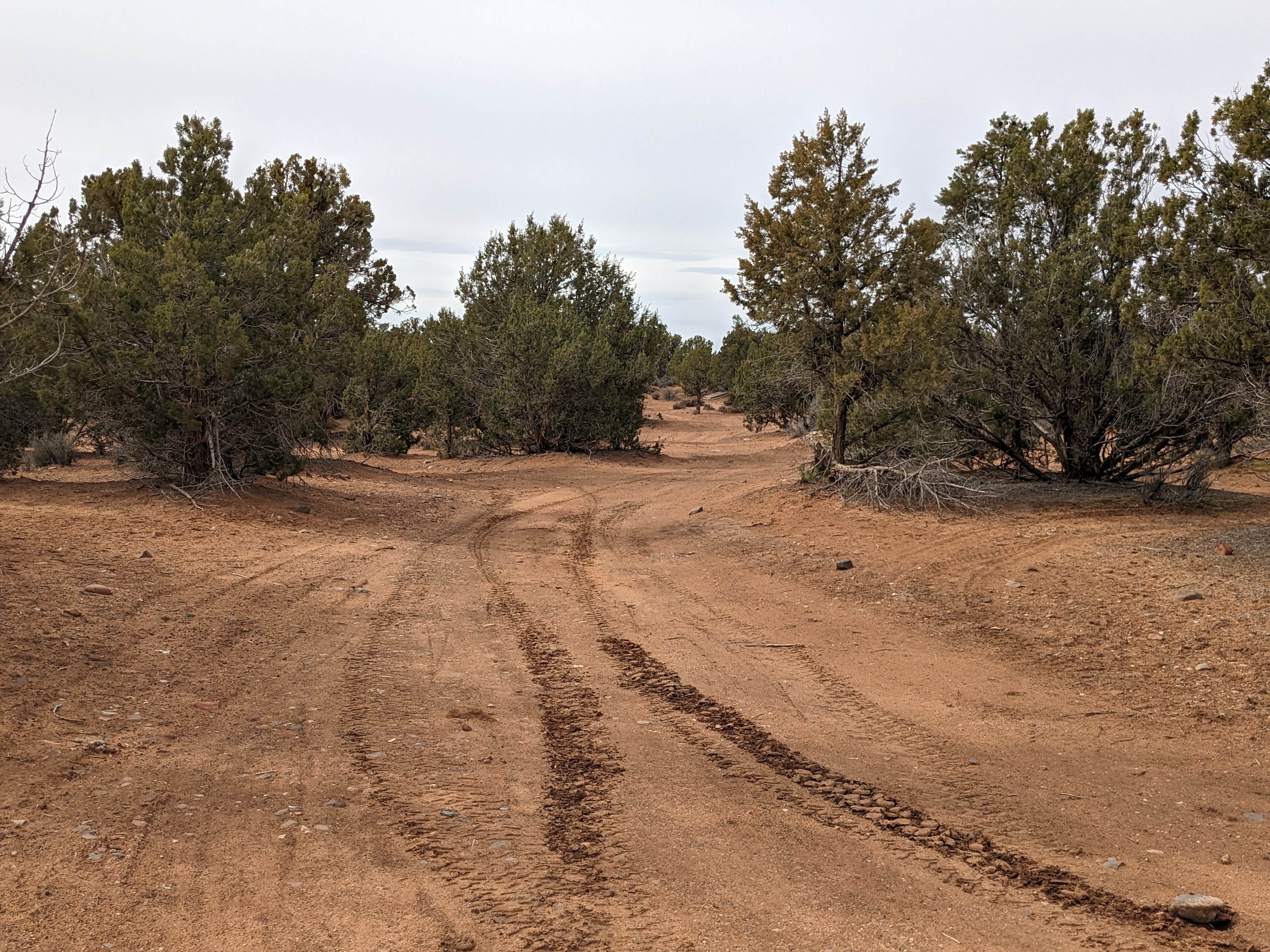 Camper submitted image from Blake Gubler Road BLM - 4