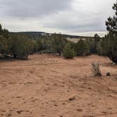 Review photo of Blake Gubler Road BLM by Greg L., March 16, 2023